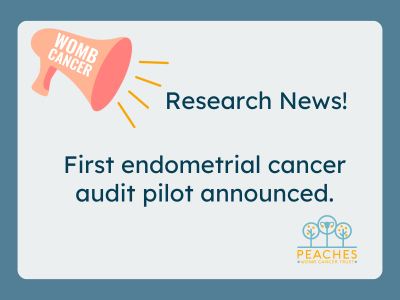 Loudspeaker announcing first endometrial cancer audit