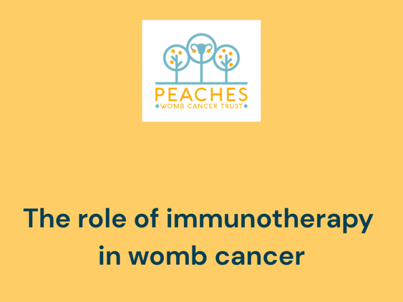 The role of immunotherapy in womb cancer