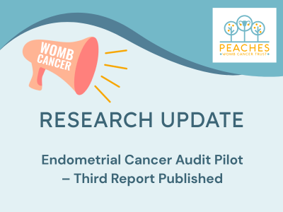 An image of a megaphone shouting 'Womb Cancer' on a blue background. Text reads: Research Update Endometrial Cancer Audit Pilot – Third Report Published