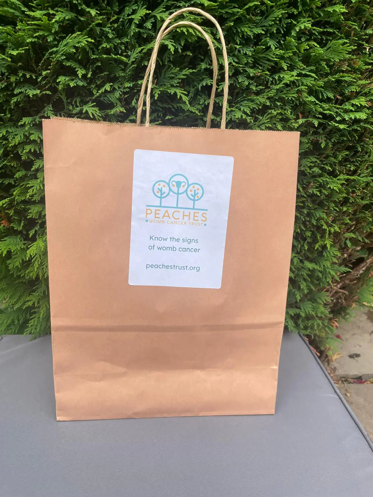 a phot of a paper bag with the peaches logo